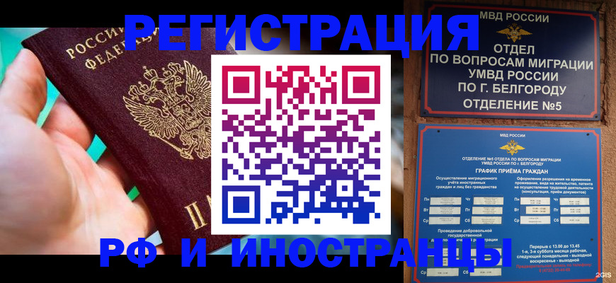 форма 3 в Сельцо